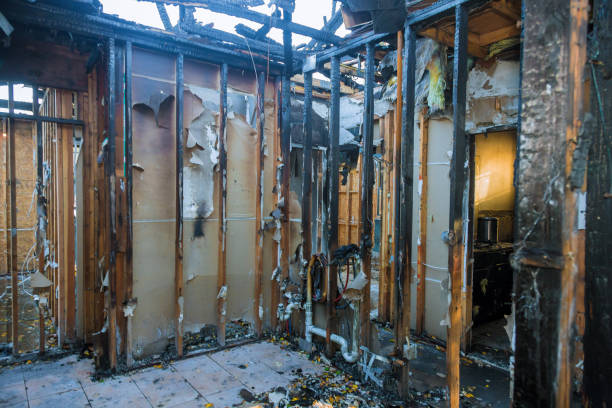 Professional Fire Damage Removal technician working in Franklin Square, NY